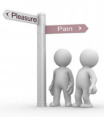 pain and pleasure theory